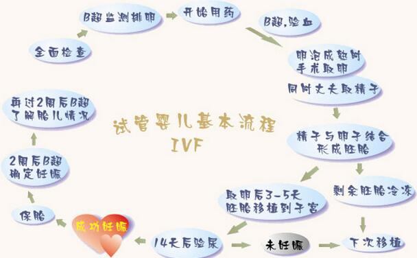 43位高龄女性做供卵试管婴儿的成功率高吗？