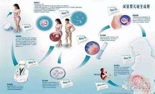 怀化供卵试管婴儿成功率最高的医院是哪家？是湖南怀化的中信湘雅医院吗？我听说这家医院非常有名。