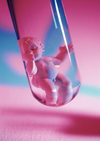 赠卵试管婴儿的胚胎移植过程是什么？