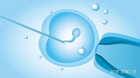 泰国借卵助孕代生试管成功的真实经历过程