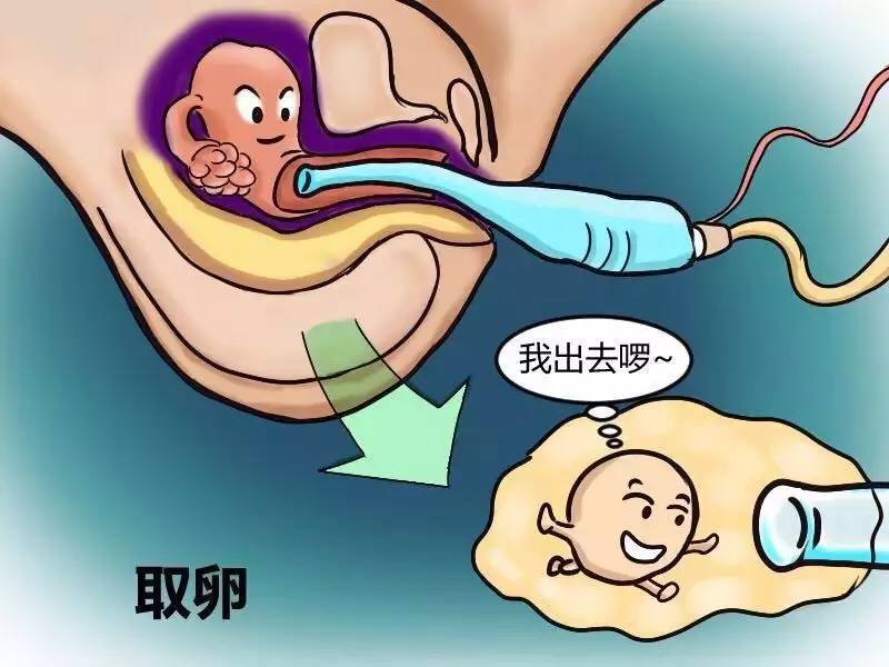 在中国，第三代供卵做试管的费用是多少？