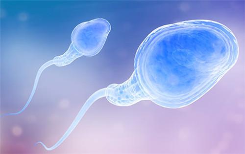 什么是完整的供卵试管助孕过程？