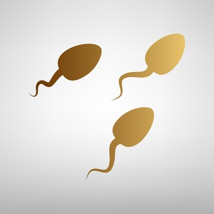 什么是完整的供卵试管助孕过程？