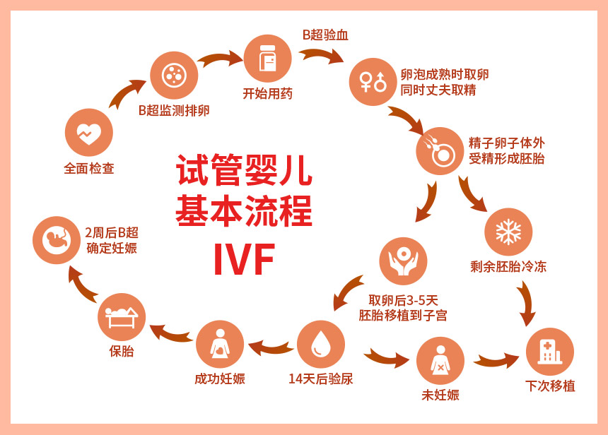 多少个卵子做供卵助孕代怀机构最好