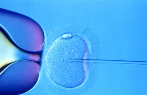 输卵管积水对供卵试管移植有哪些影响