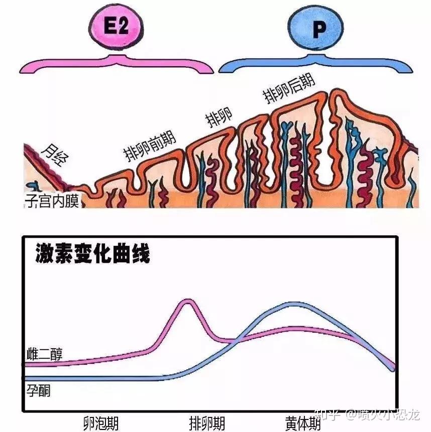 湖南长沙妇幼保健院试管男婴价格多少？附男生费用明细？