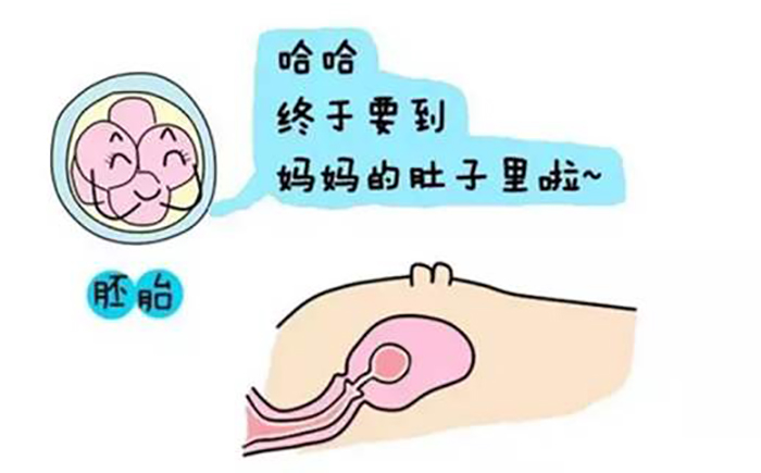 湖南长沙市中心人民医院做一代哪里可以供卵代怀中介进行胚胎移植多少钱