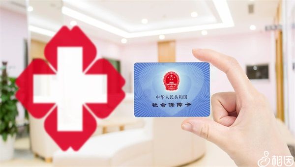 36和37岁试管成功率区别不大,想成功这些准备很关键!